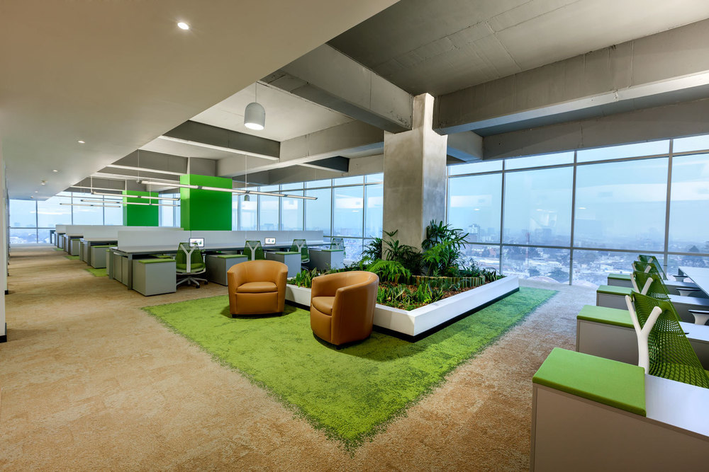 indoor-office-green-nabers